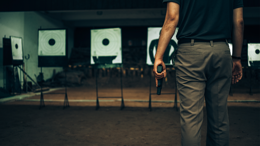 Max CCW (DC, MD, VA, NY, UT, FL, IL, NJ & PA - up to 46 states total)